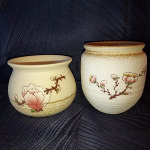 Ensemble de 2 pots pour succulentes en céramique avec design rustique et granuleux fleur de cerisiers
