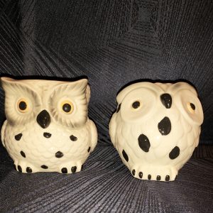 Lot de 2 pots Hiboux beiges et noirs
