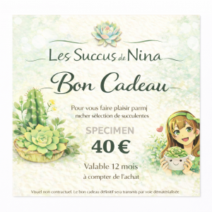 🎁 Bon cadeau - 40€