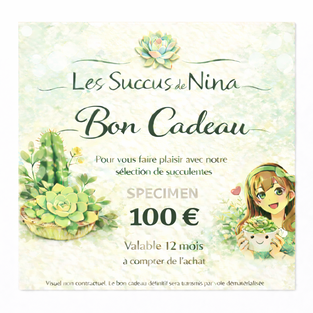 🎁 Bon cadeau - 100€