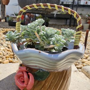 Pot de fleurs seau en céramique blanc